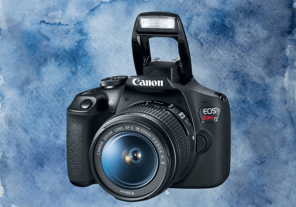 Canon EOS Rebel T7 (best dslr camera for pet photography)