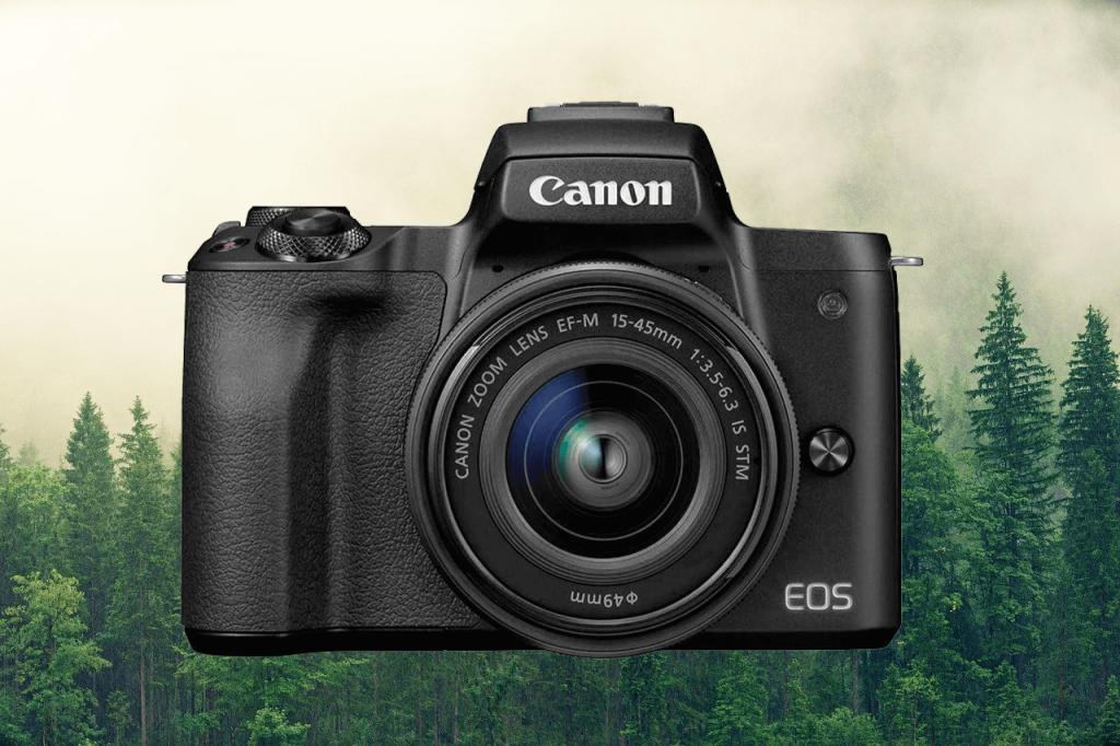 Canon EOS M50 (best budget camera for pet photography)