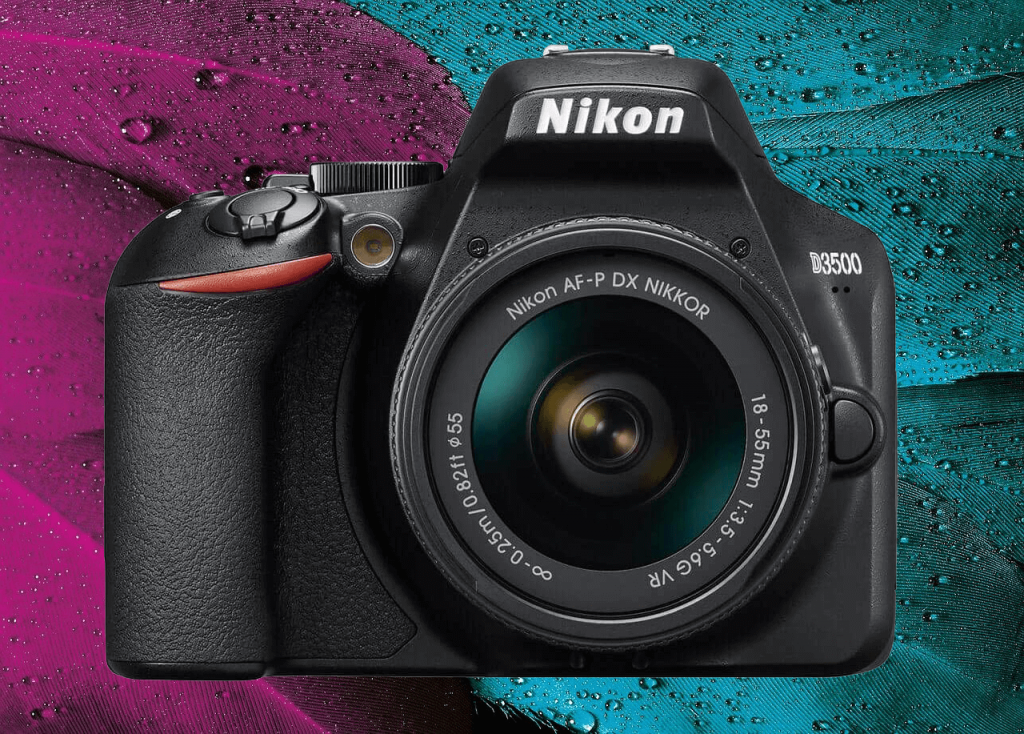 Nikon D3500 (best Nikon camera for pet photography)