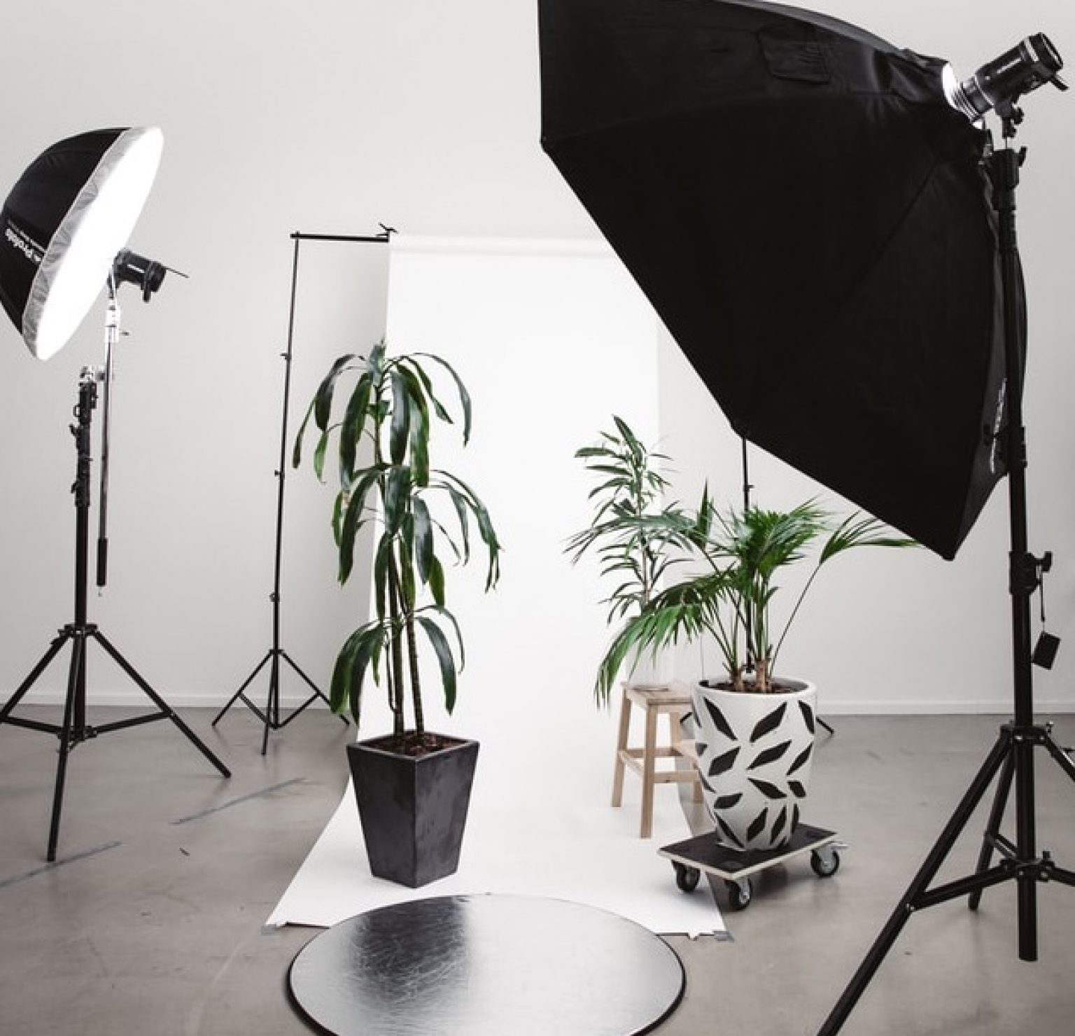Best Backdrop Stands for Photography (Inside, Studio, and More)